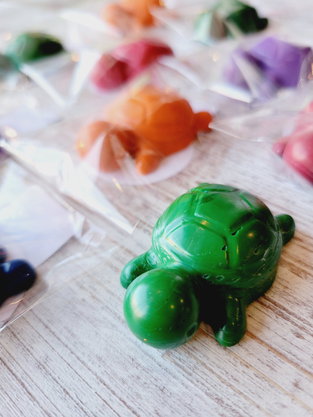 Noah's Crayon Creations, Assorted Turtle Crayons