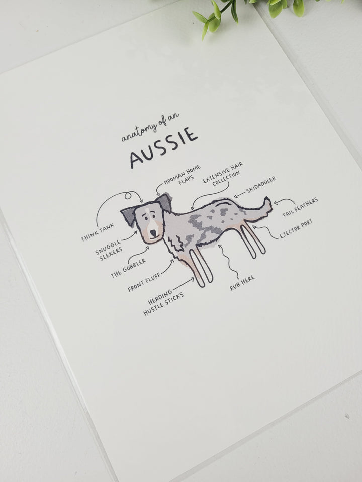 Pamplemoose Design, Dog Anatomy Prints