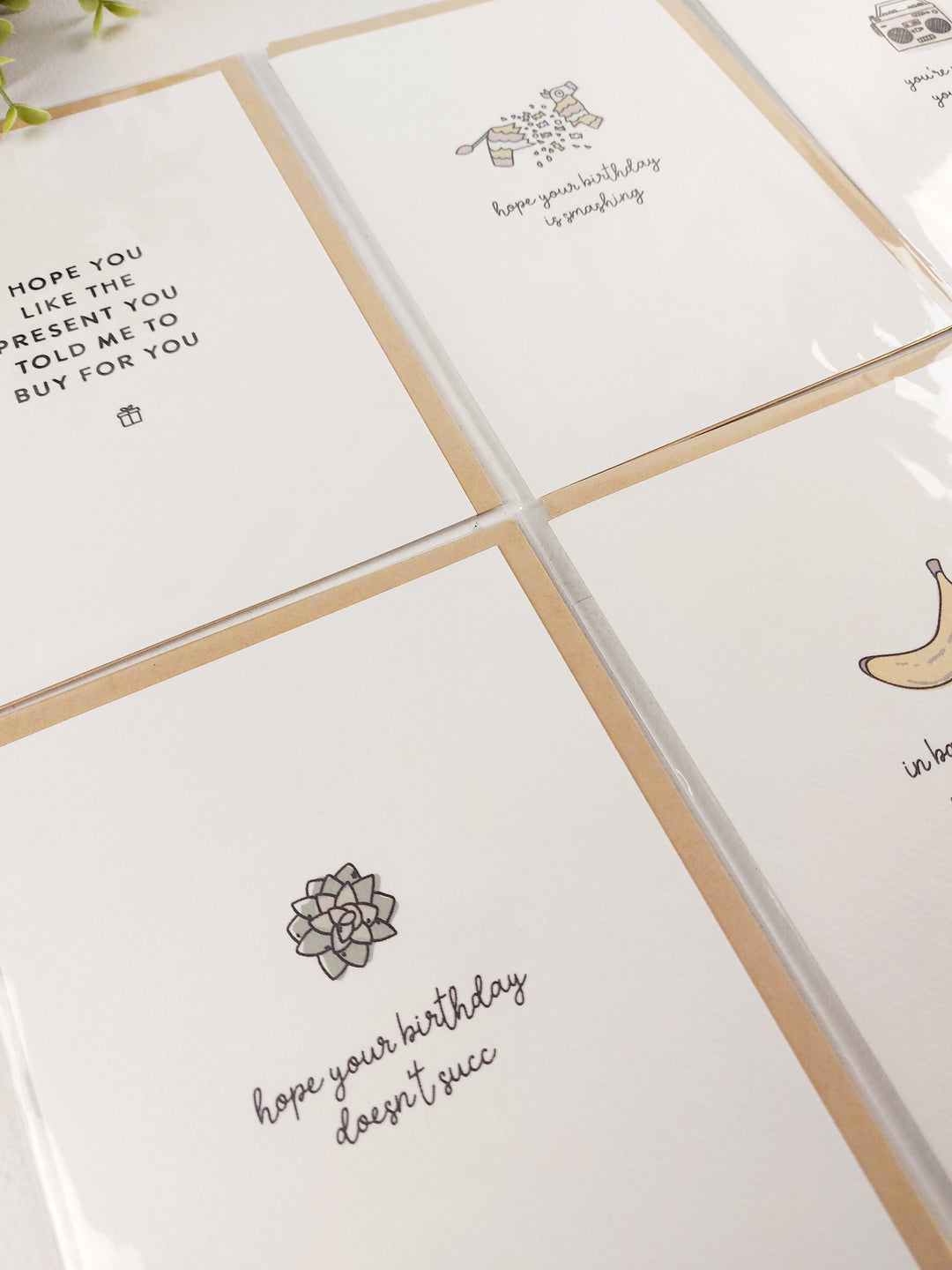 Pamplemoose Design, Greeting Cards- Birthdays
