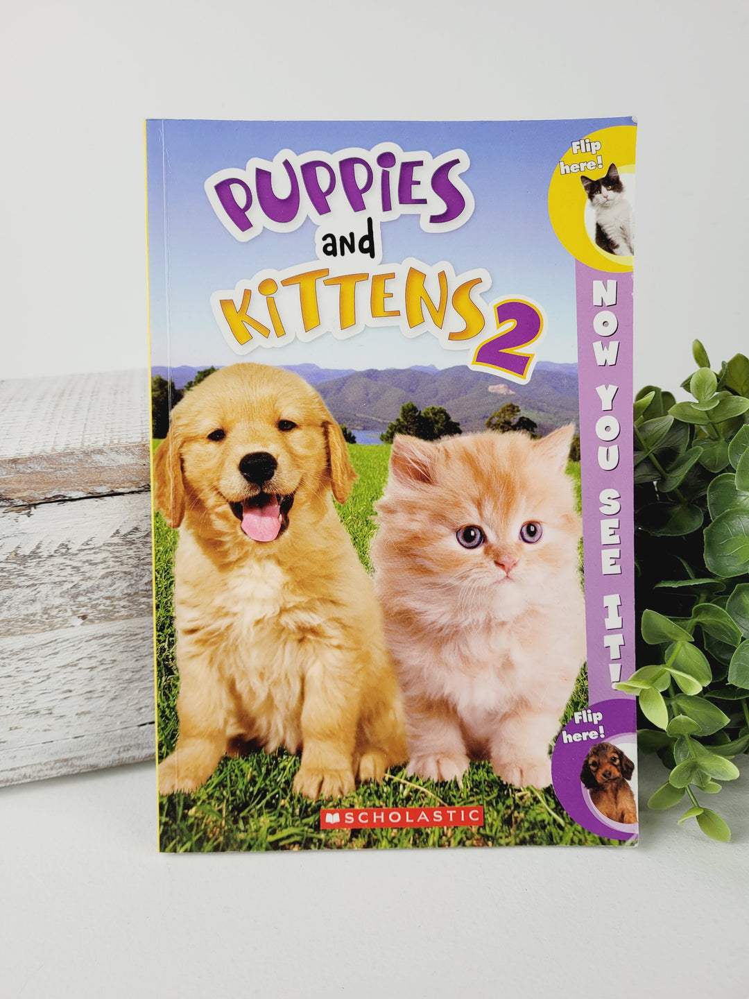 PUPPIES & KITTENS 2 READER BOOK VGUC