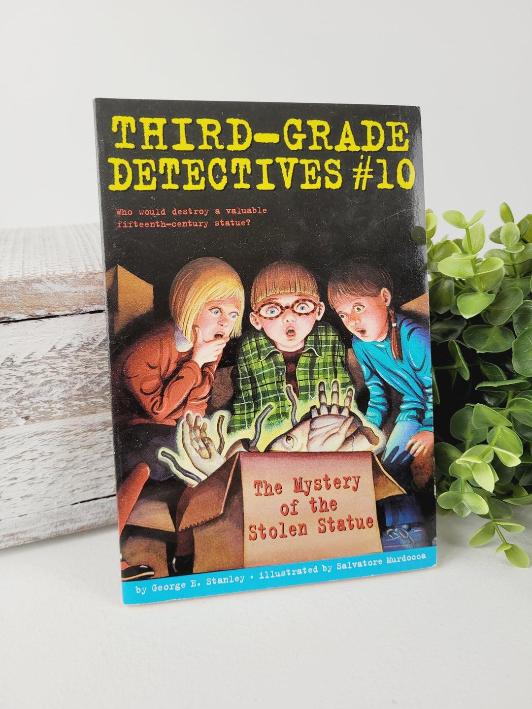 THIRD GRADE DETECTIVES #10 CHAPTER BOOK
