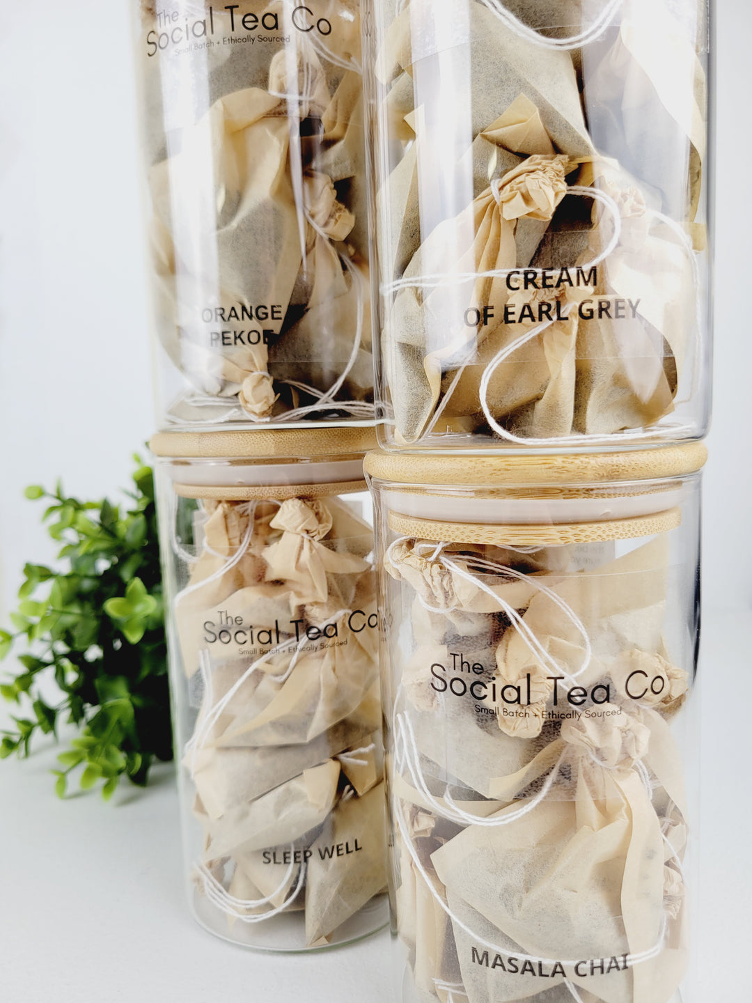 The Social Tea Co., Jarred Tea in Steeping Bags