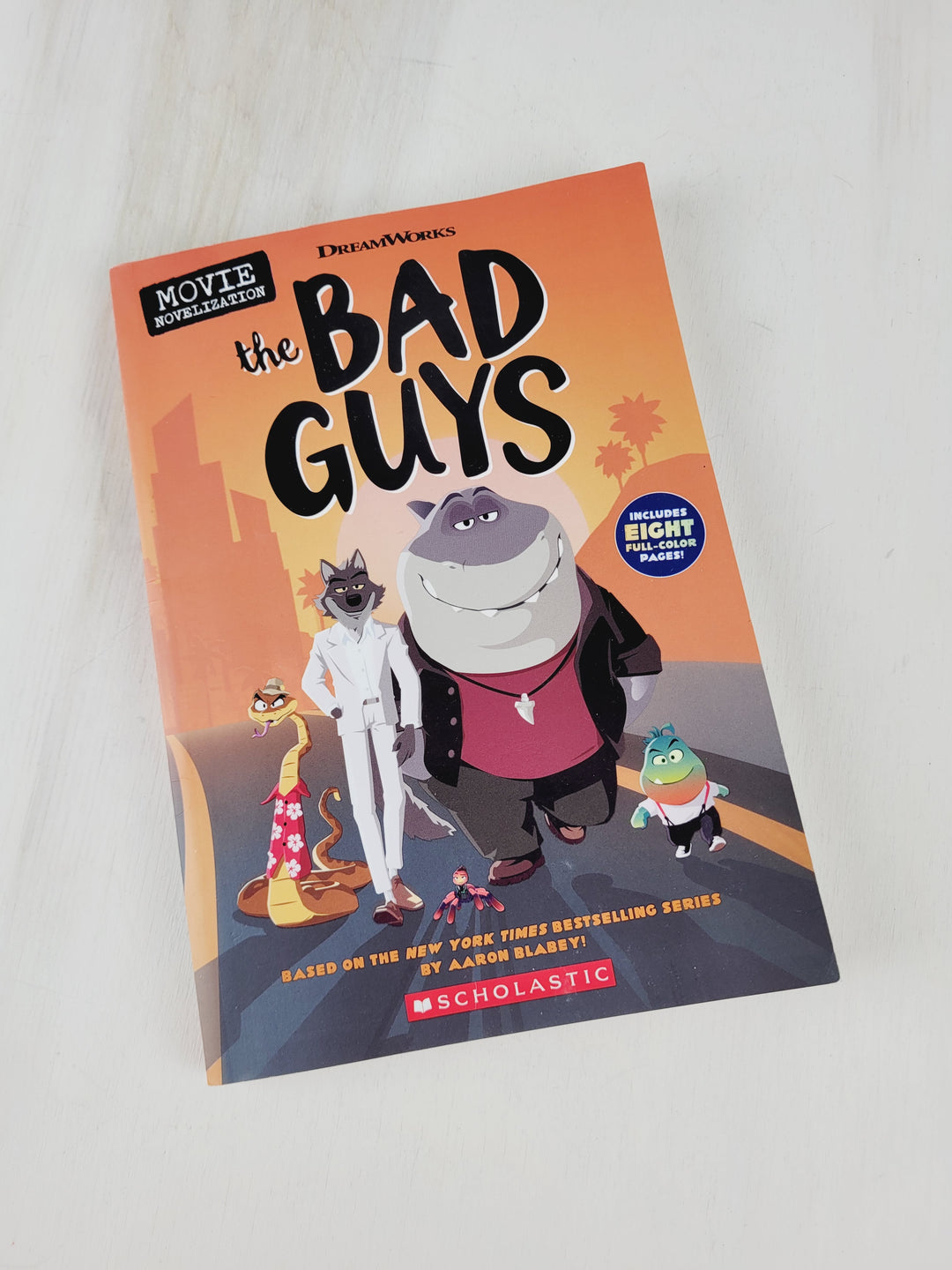 THE BAD GUYS CHAPTER BOOK EUC