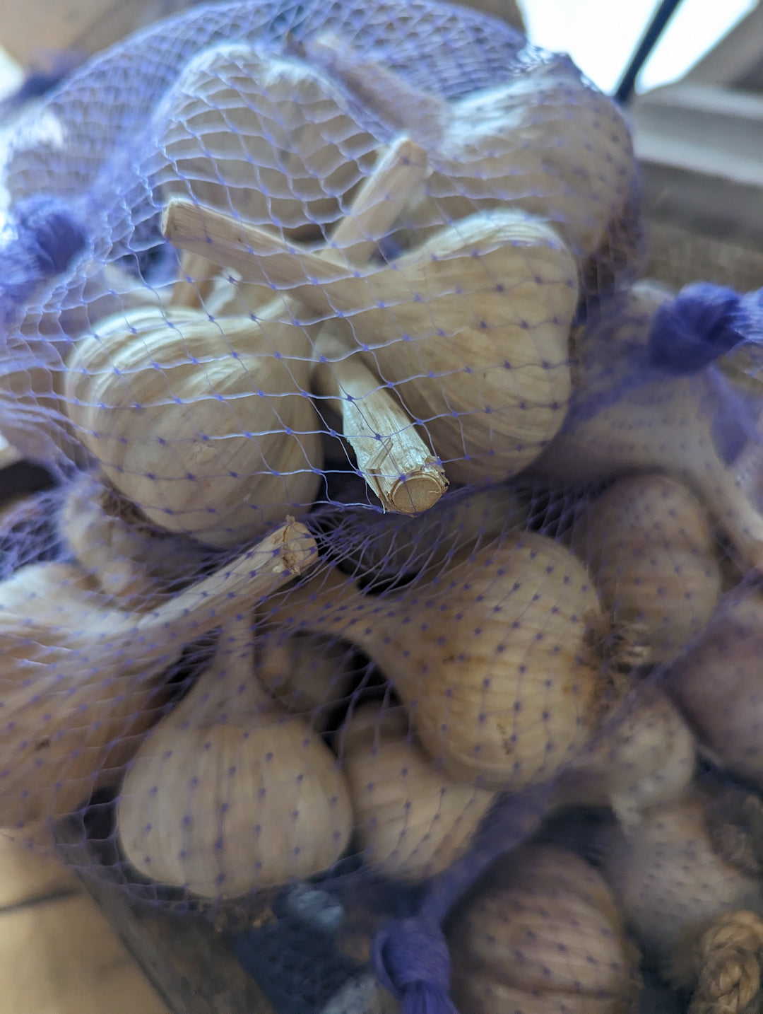Fehr Farms, Fresh Locally Grown Garlic
