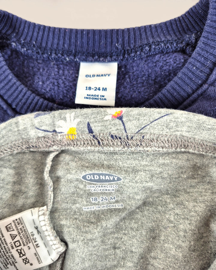 Pre-Loved Old Navy Raccoon Outfit Girls 18-24M | Betty’s Marketplace