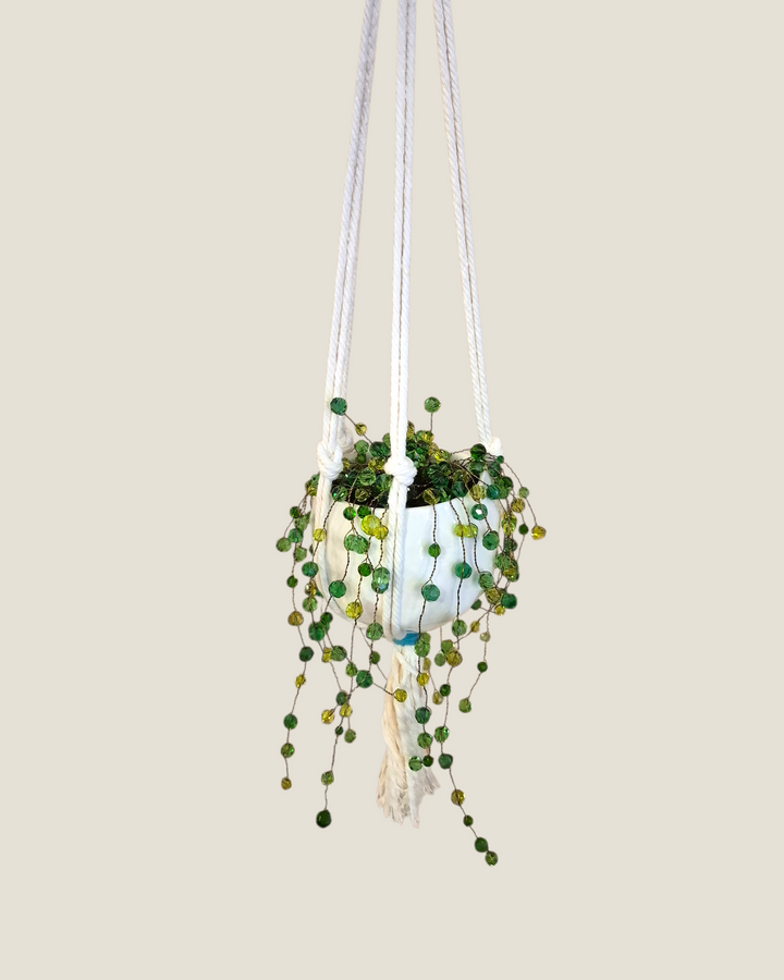 Kristi Scott Art, Jeweled Suncatcher Plants
