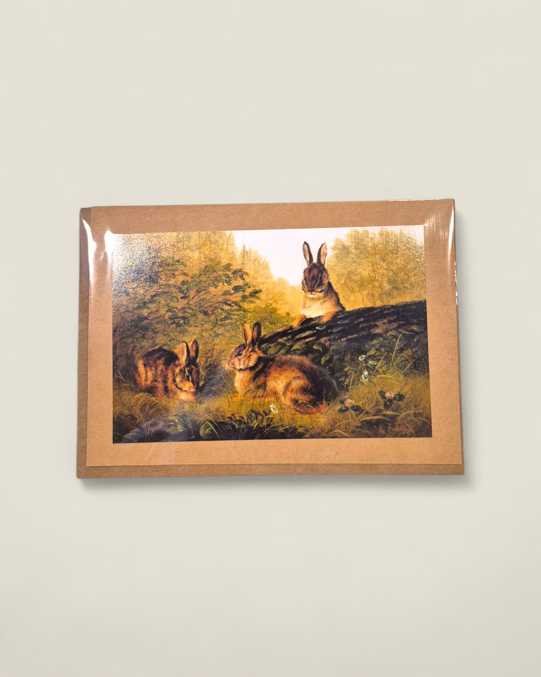 Rosewood Lane, Photography Greeting Cards