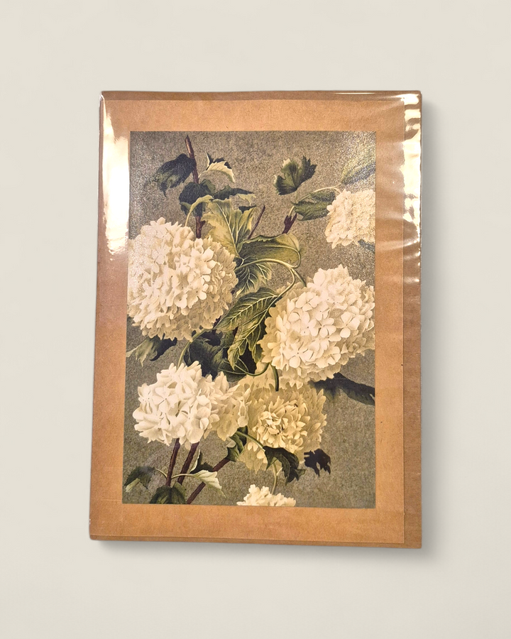 Rosewood Lane, Photography Greeting Cards