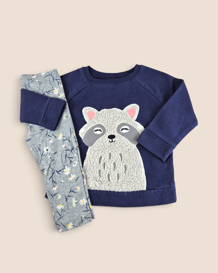 Pre-Loved Old Navy Raccoon Outfit Girls 18-24M | Betty’s Marketplace