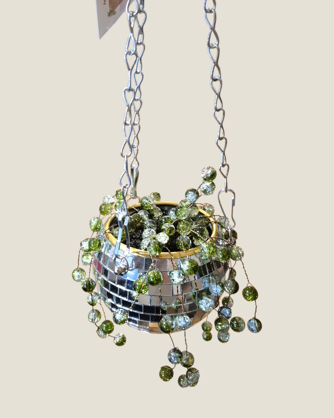 Kristi Scott Art, Jeweled Suncatcher Plants