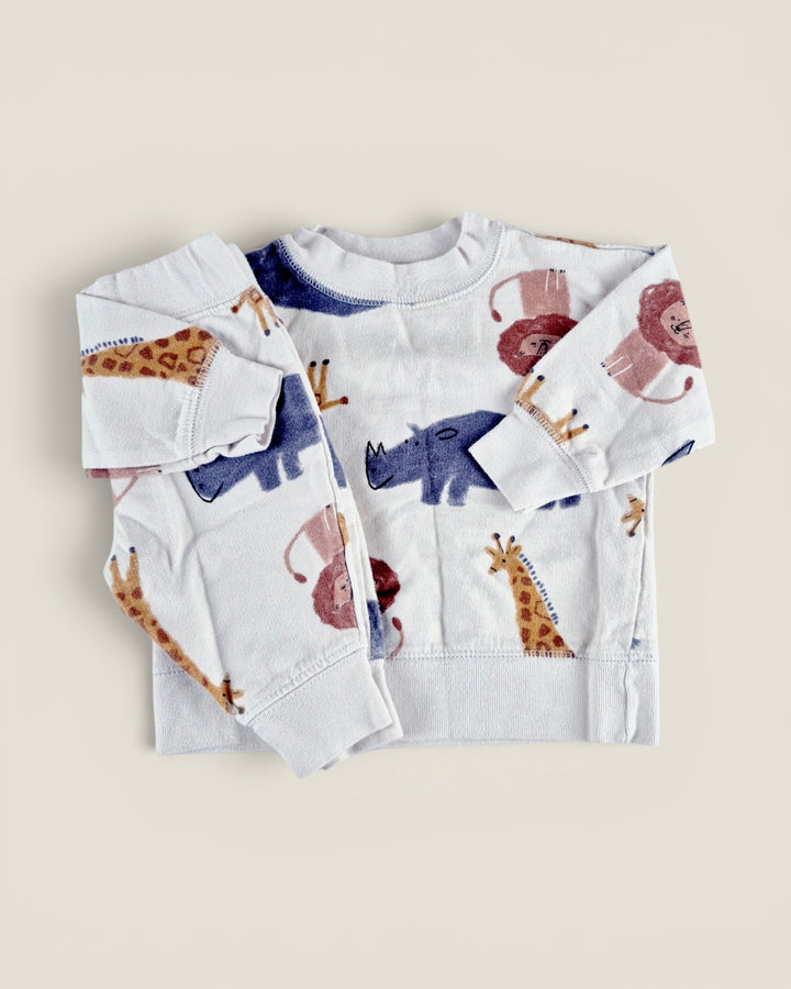 Pre-Loved Carter's Safari Animal Track Suit 3M | Betty’s Marketplace