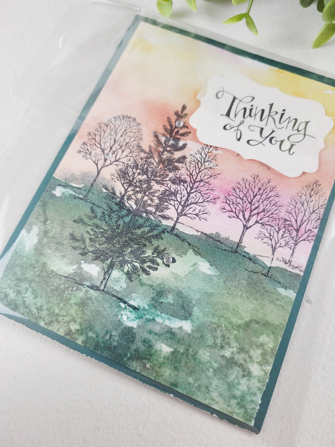 Cards By Sue, Crafted Greeting Cards- Thinking Of You, Sympathy & Get Well