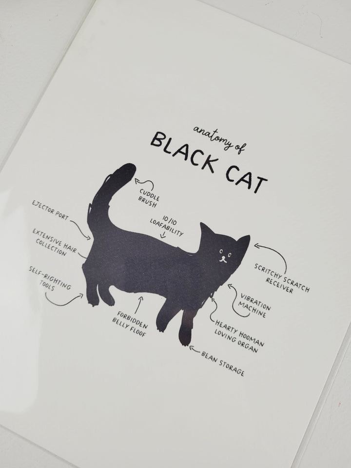 Pamplemoose Design, Cat Anatomy Prints