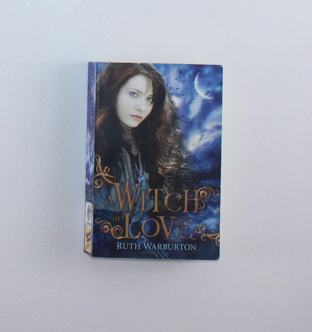 WITCH LOVE, RUTH WARBURTON NOVEL PRE-LOVED